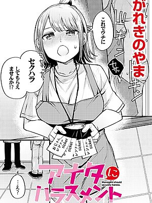 アナタにハラスメント【がれきのやま COMIC快艶編集部】