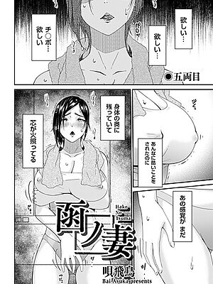 函ノ妻 五両目【唄飛鳥】