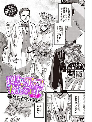 理想のアソコ探してます-after-【シグノマンダラ コミックバベル編集部】